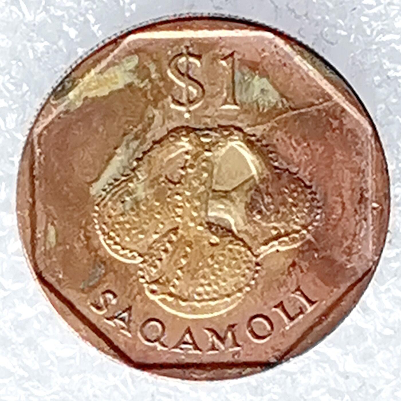 海外回流1元起拍小铺 各国钱币散币场 第14期 斐济1995年1元