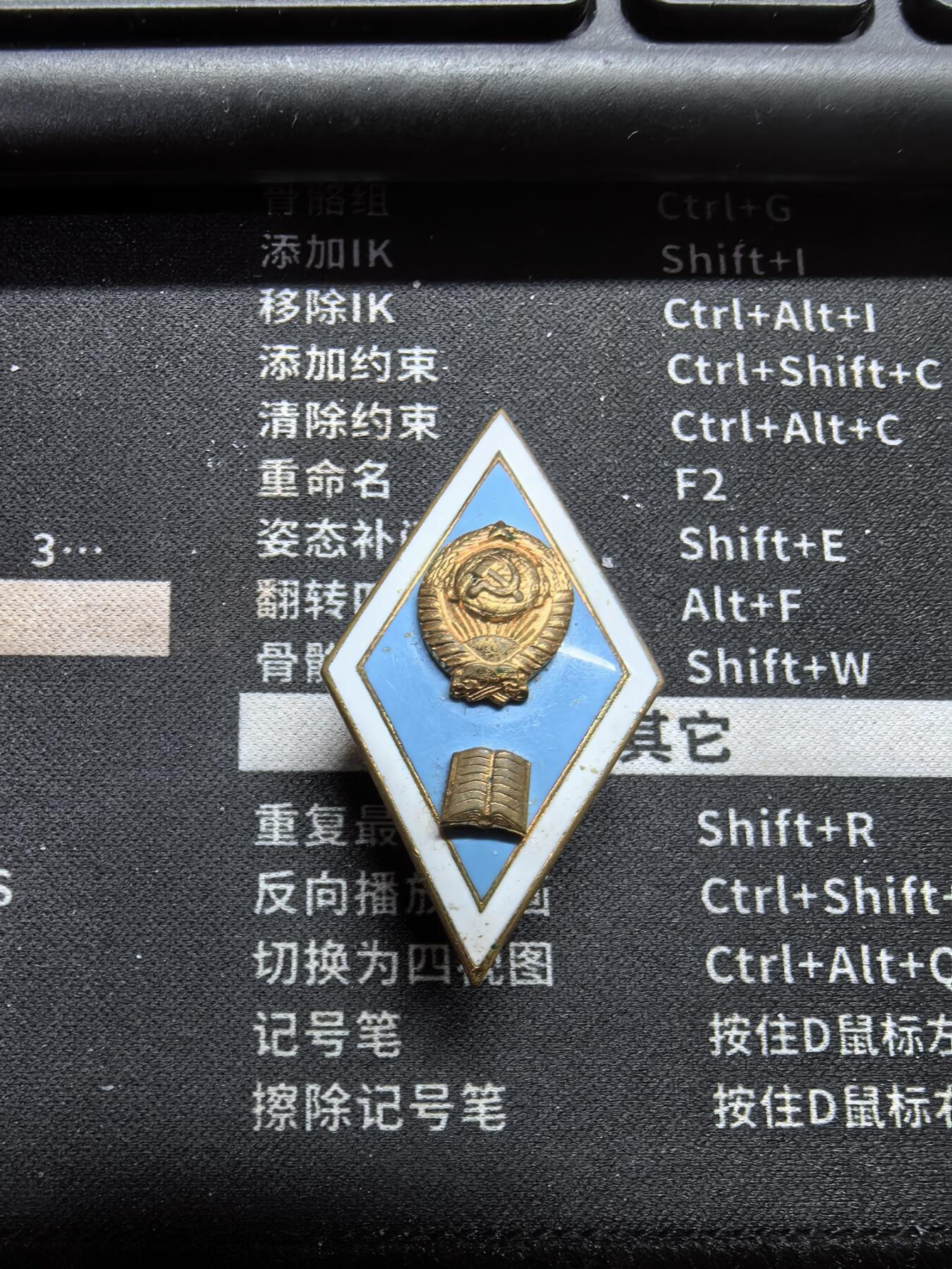 苏联高级师范校徽，铜制