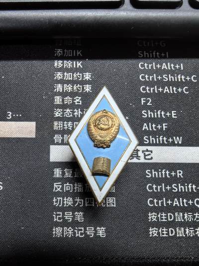 苏联高级师范校徽，铜制 - 苏联高级师范校徽，铜制