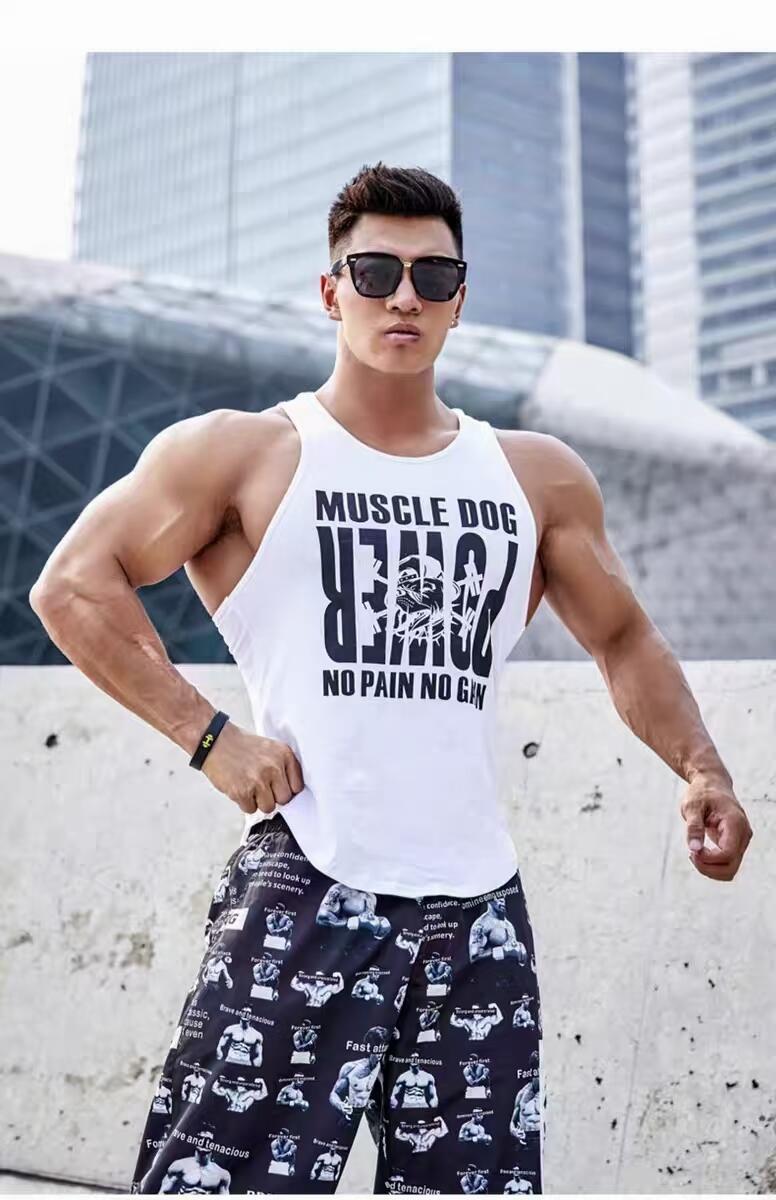 夏季福利捡漏 肌肉狗运动背心 全新正品带吊牌 白色2XL一件 原价99