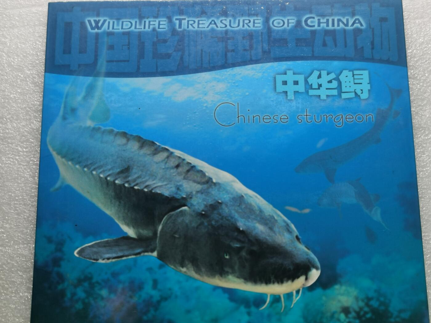 四叶草钱币 首拍 散币小银币 康银阁 野生动物中华鲟5元铜币 带证书