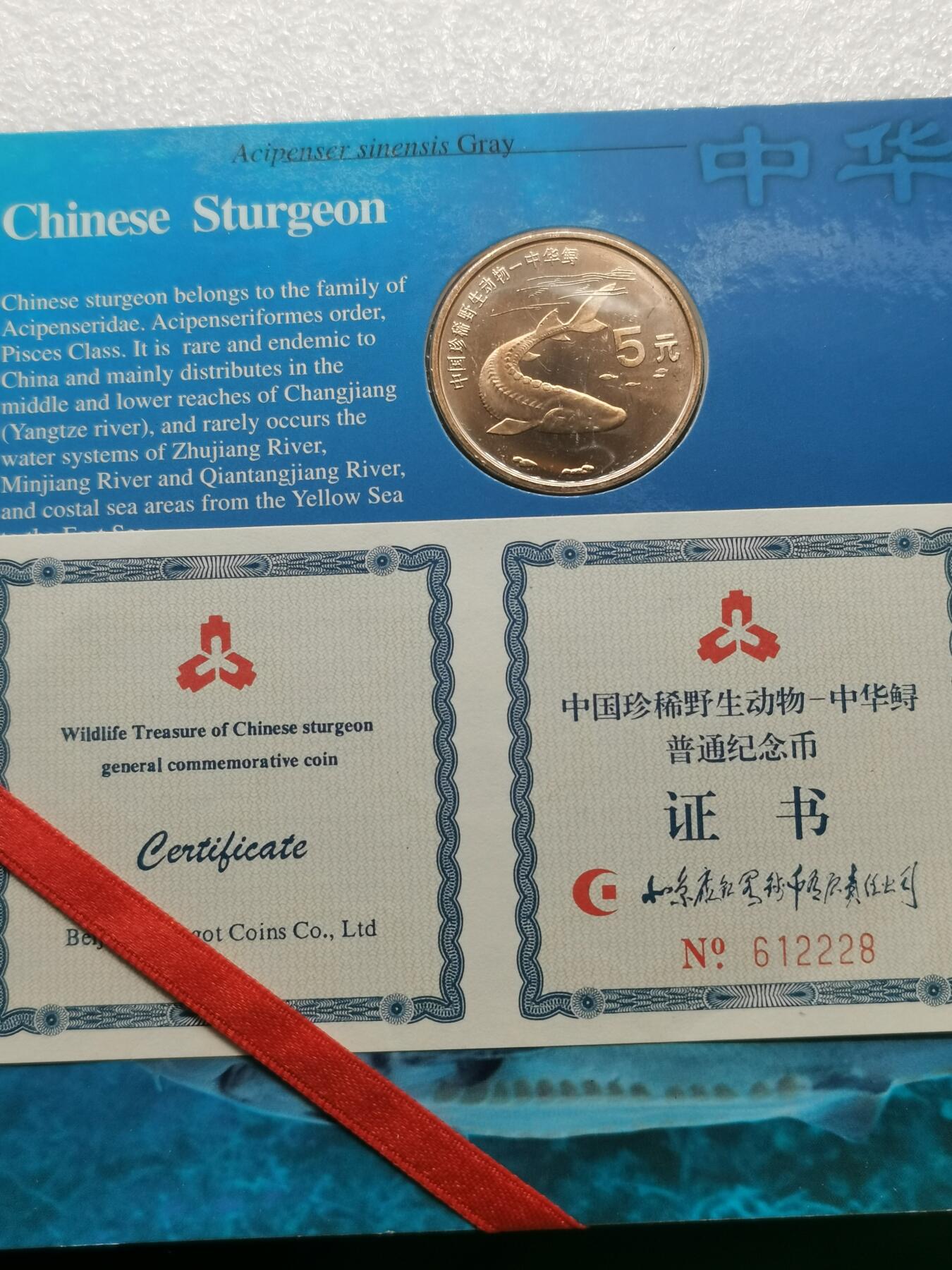 四叶草钱币 首拍 散币小银币 康银阁 野生动物中华鲟5元铜币 带证书