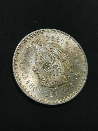 臻藏泉阁国内外钱币 - 墨西哥印第安人酋长银币