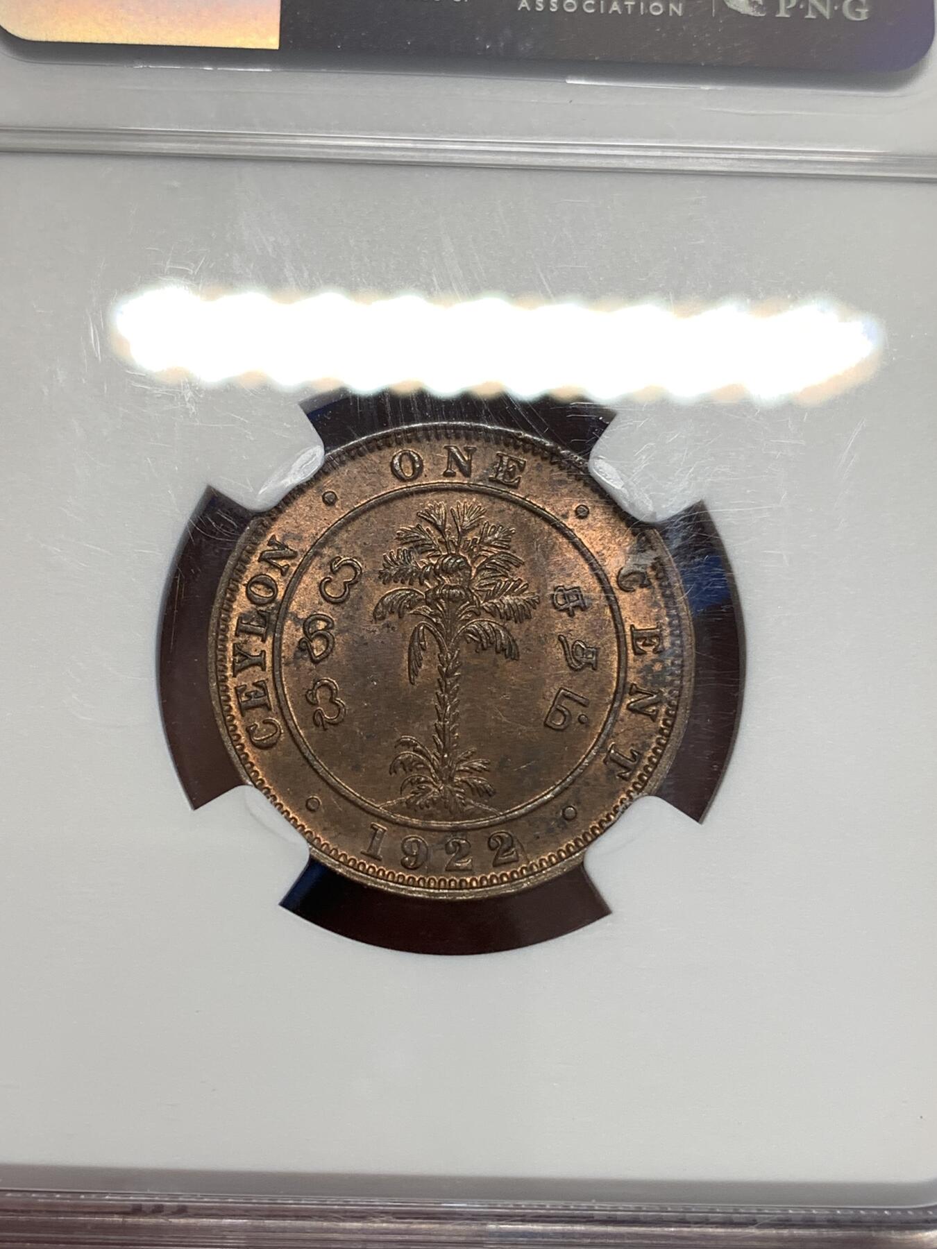 《竞宝斋》第294场- 周日，周一  2场连拍 （全场包邮） NGC MS63RB 少见！1922锡兰1分 早期锡兰 乔五的好品非常少 这枚两面包浆均匀 铜色红润 非常漂亮