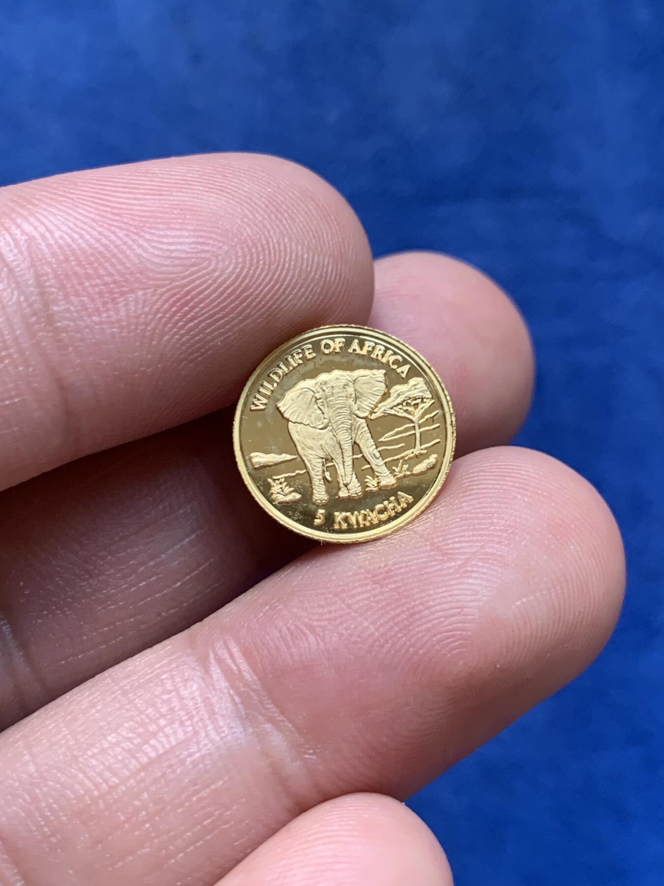 《竞宝斋》第294场- 周日，周一  2场连拍 （全场包邮） 马拉维2000年大象5克瓦查金币 1.24克  999金