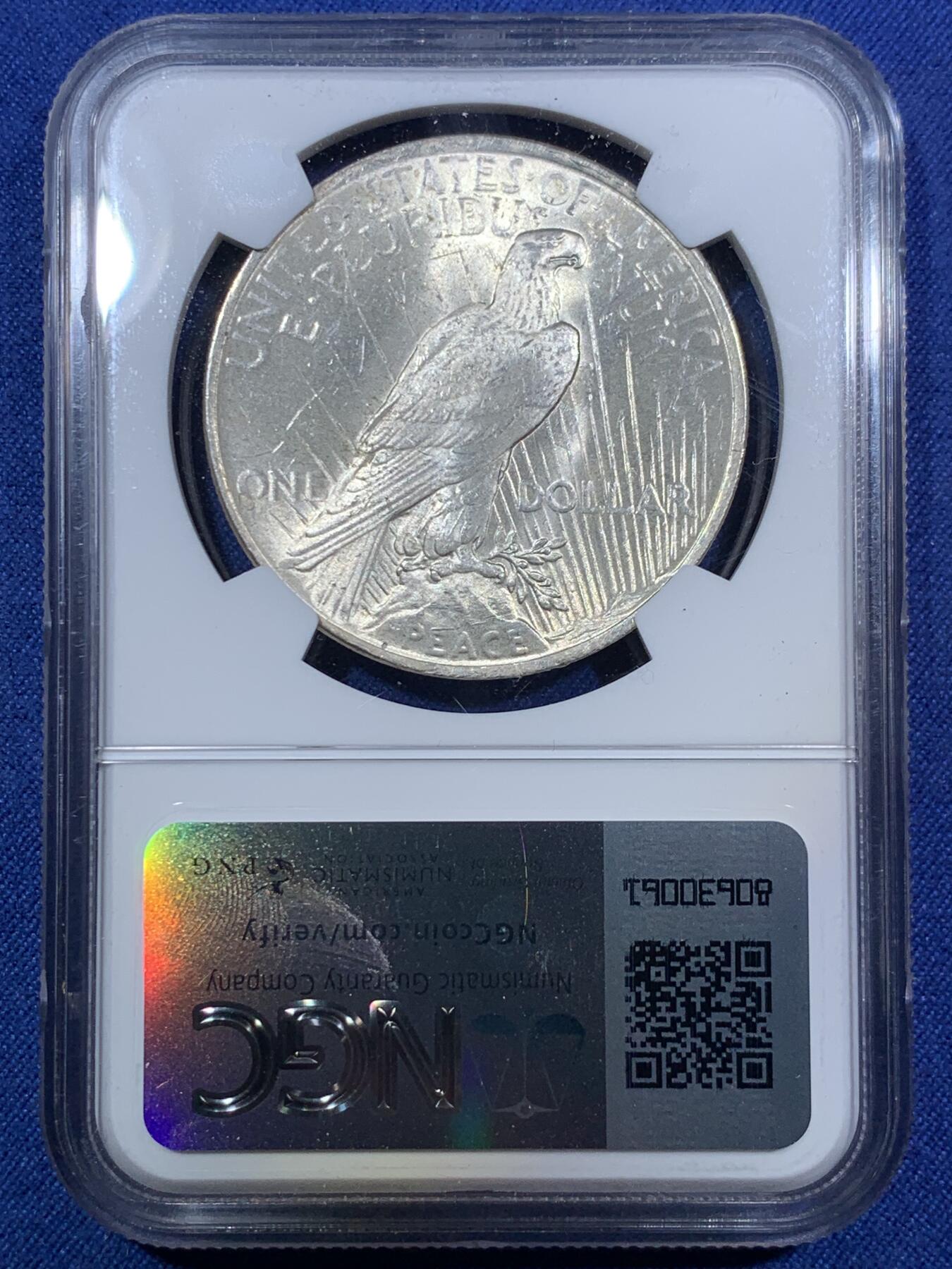 《竞宝斋》第294场- 周日，周一  2场连拍 （全场包邮） NGC MS62 美国1922年和平鸽1美元银币