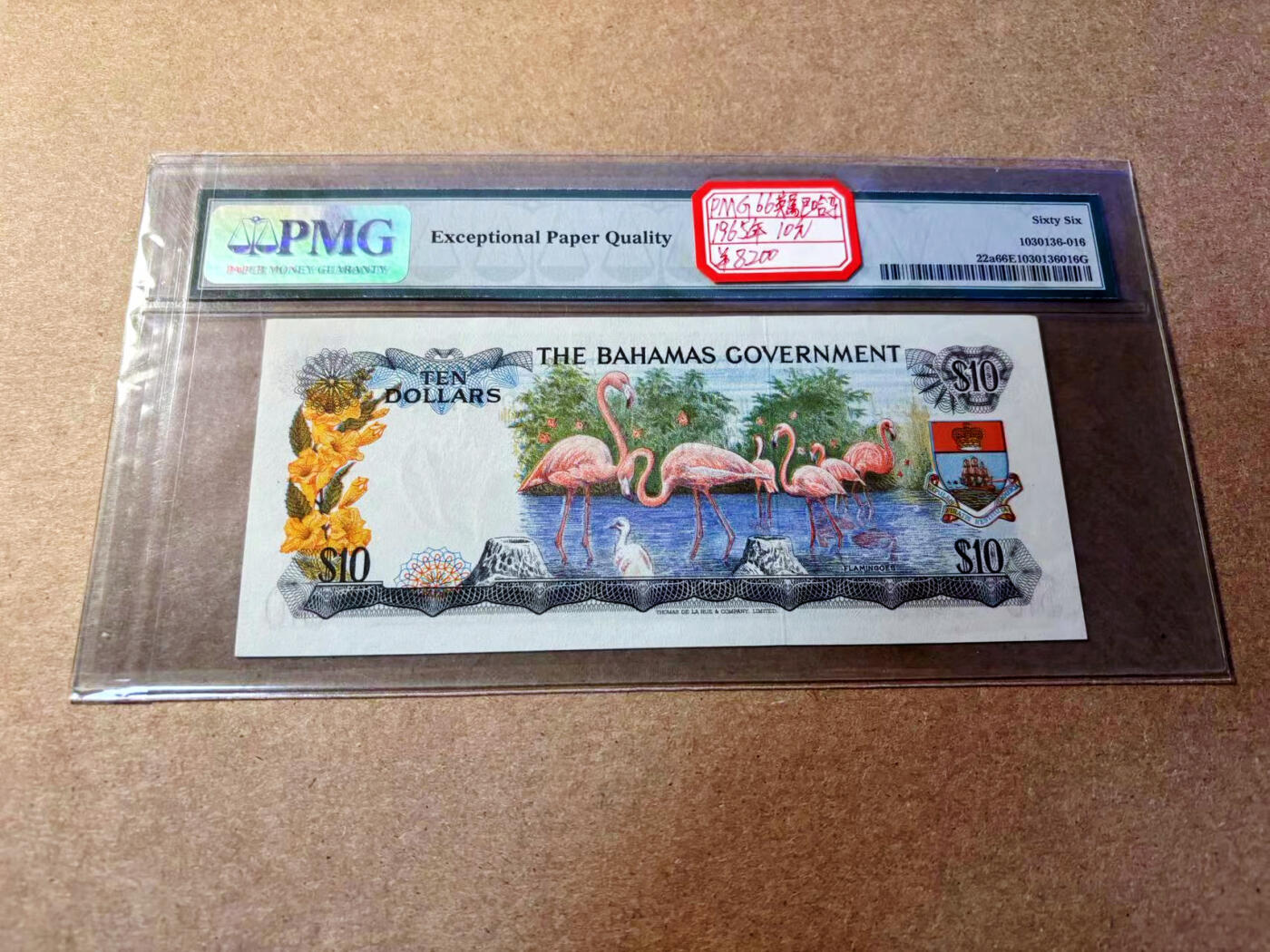 【Blue Auction】✨世界纸币精拍第520期【精】  【初版少见 老壳】巴哈马 1965年10元 经典彩背 女王 火烈鸟 PMG66EPQ 