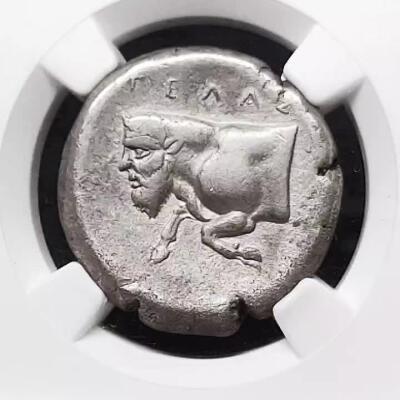 古希腊人头牛身河神图大型银币NGC评级fine style 稀少品种凝绿轩81-3