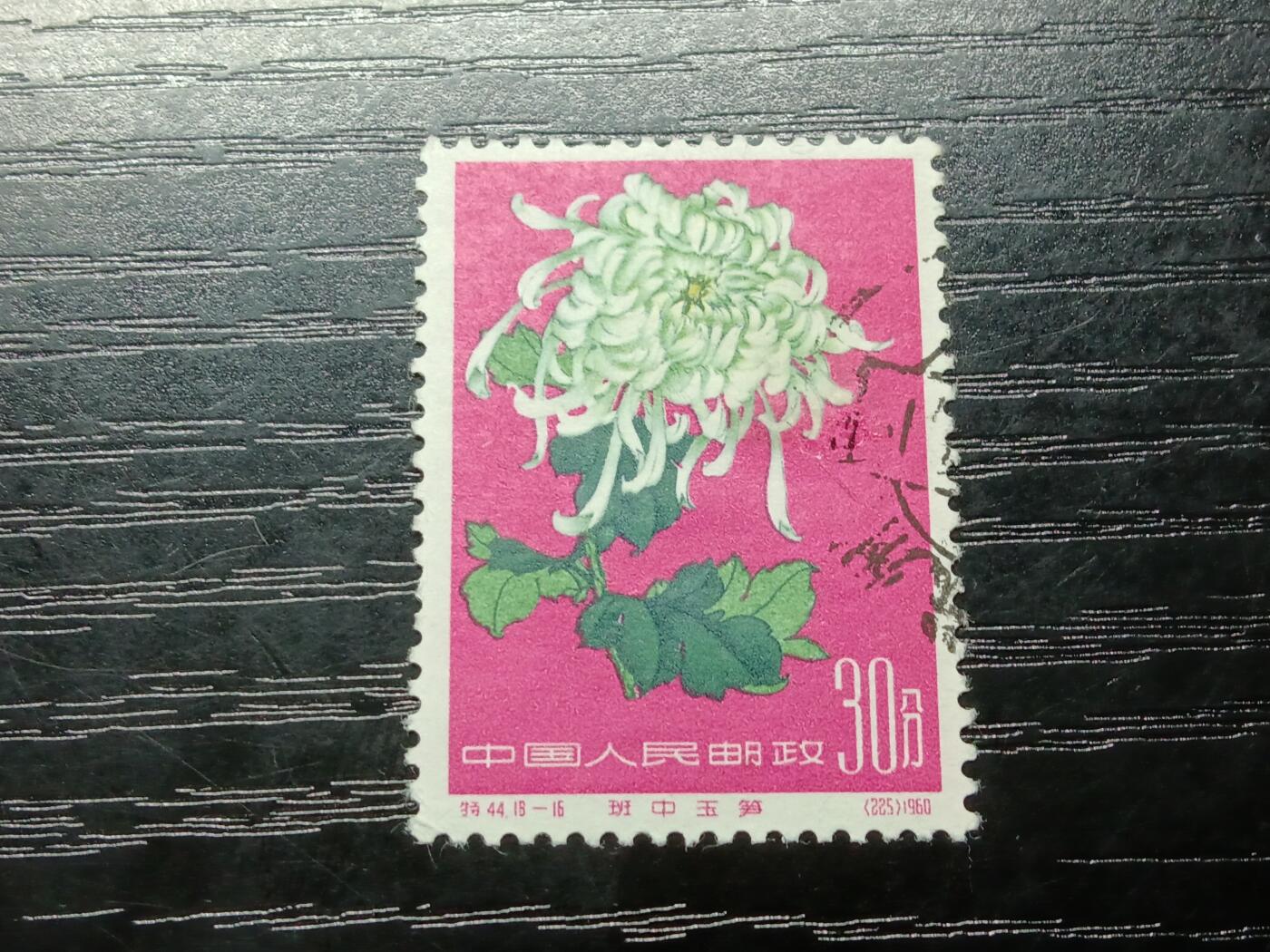 博彦收藏8月8日邮票专场 菊花30信销一枚上品 有油