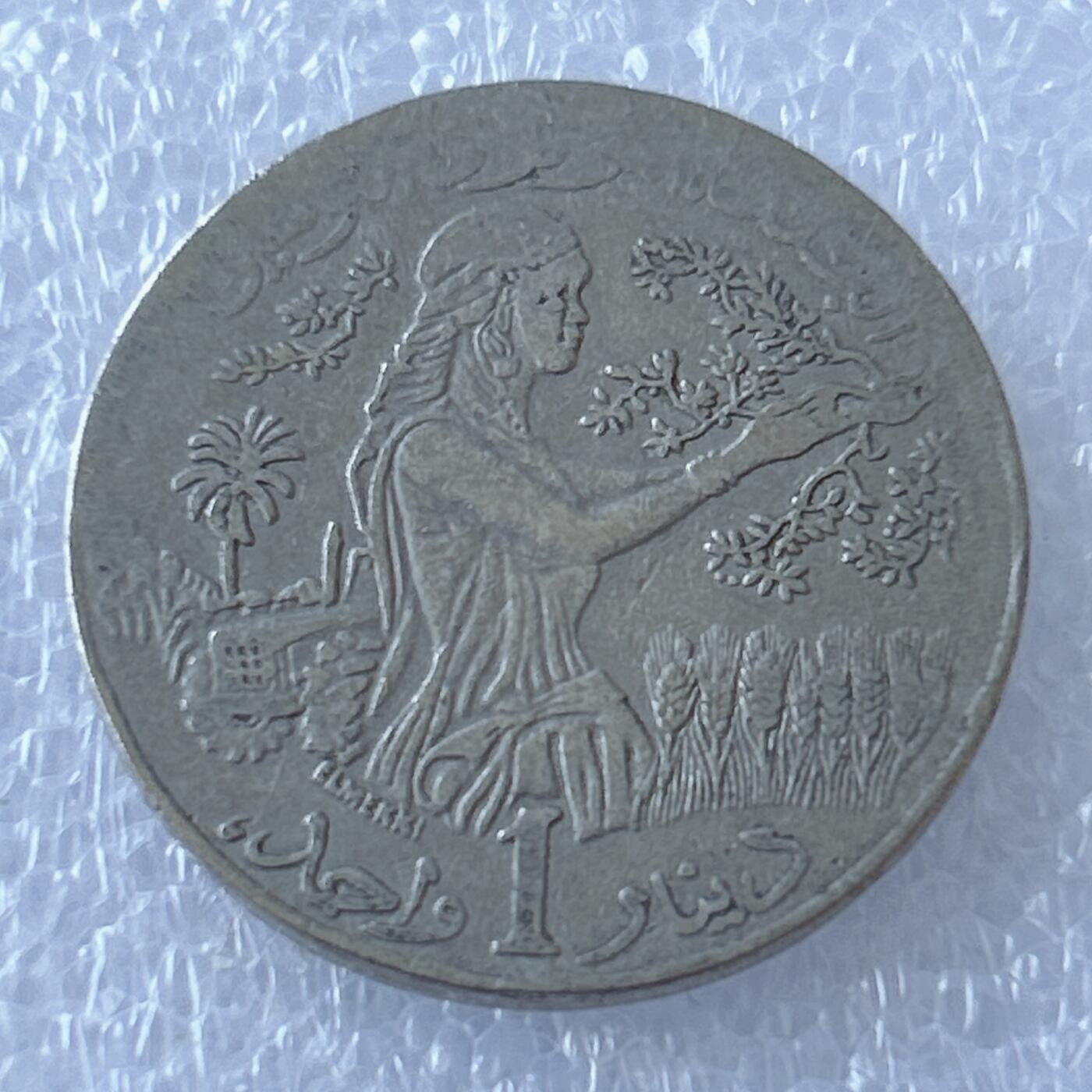 第一海外回流一元起拍收藏 散币专场 第107期 突尼斯1990年地图版  1第纳尔