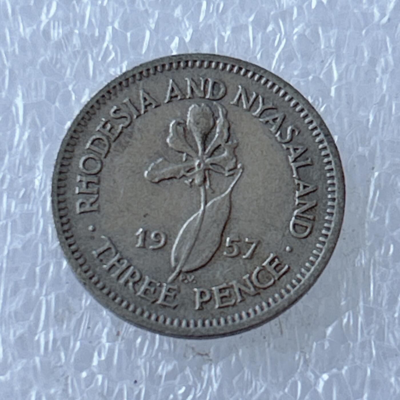 第一海外回流一元起拍收藏 散币专场 第107期 罗德西亚和尼亚萨兰1957年3便士