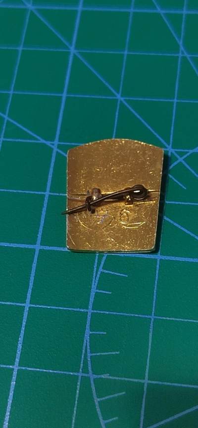 毛主席像章、徽章拍场，都是精品小章 🔥🔥盾型🔥🔥毛泽东思想伟大胜利 纪念章，原子弹爆炸蘑菇云图案，相当少见！