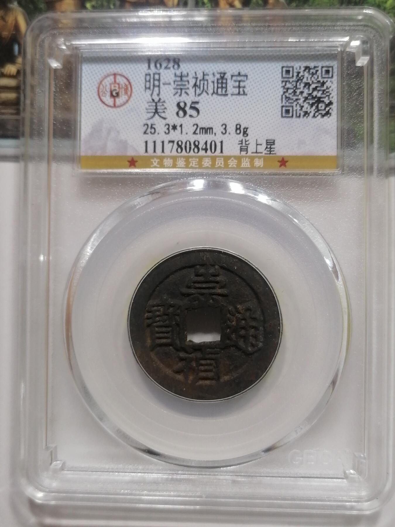 钱币专场 萗祯通宝背上星