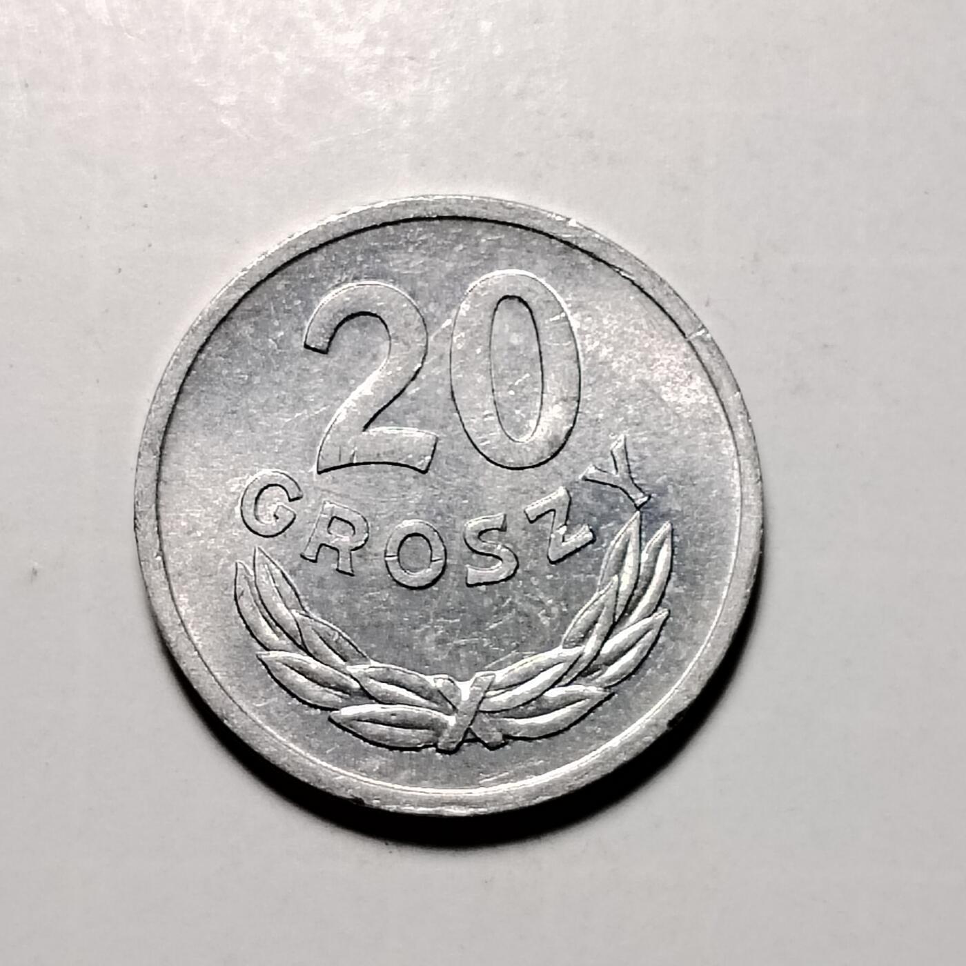 803 波兰