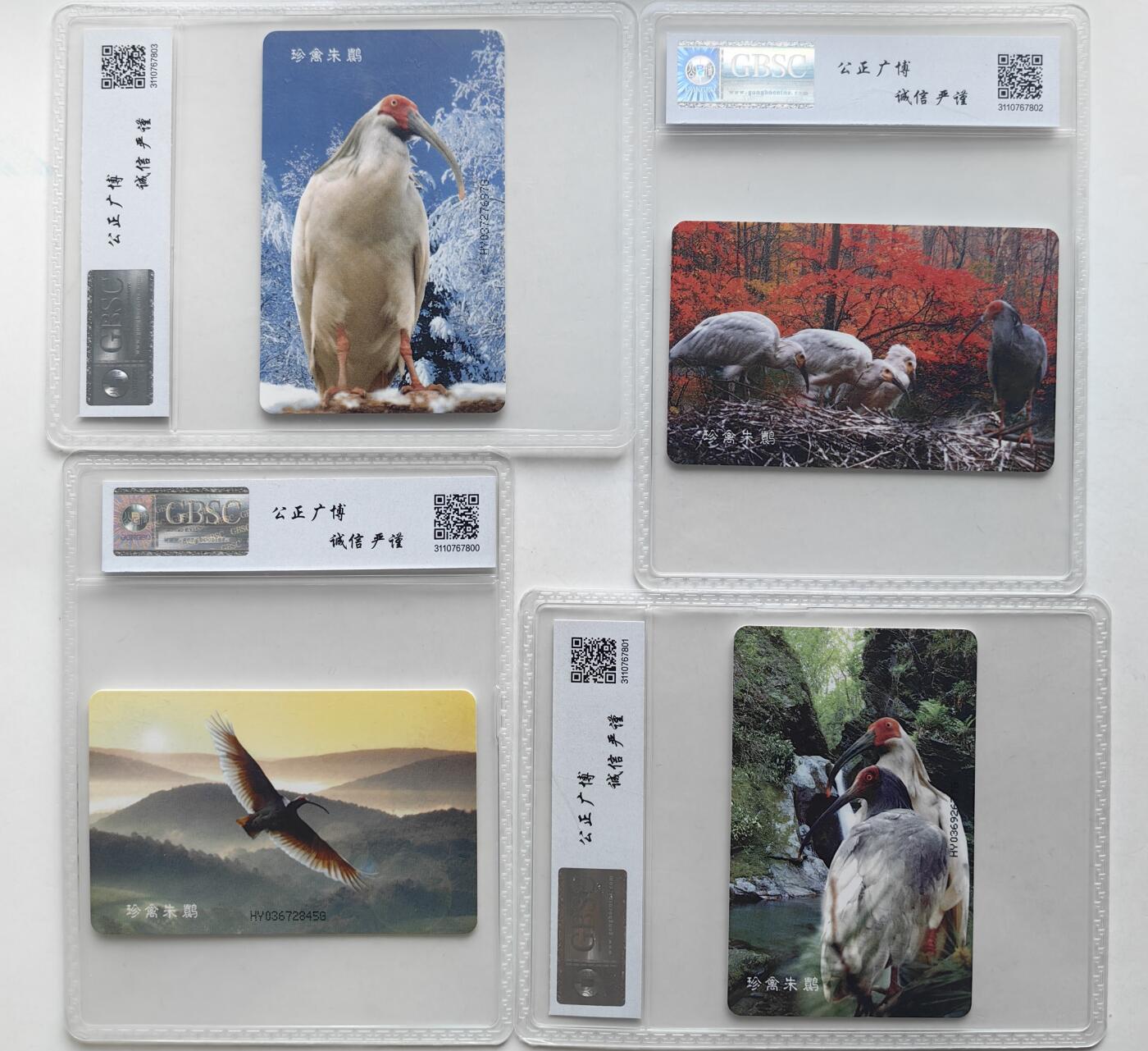 【乐玩集藏】第36期电话IC卡HY专场（8月9日21点结拍） IC-18珍禽朱鹮 HY版公博68分