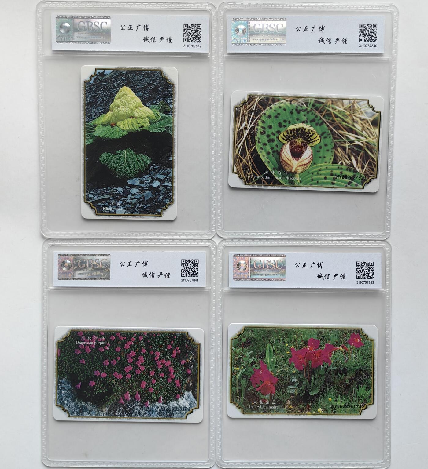 【乐玩集藏】第36期电话IC卡HY专场（8月9日21点结拍） IC-29珍惜植物 HY版公博68*3,67分