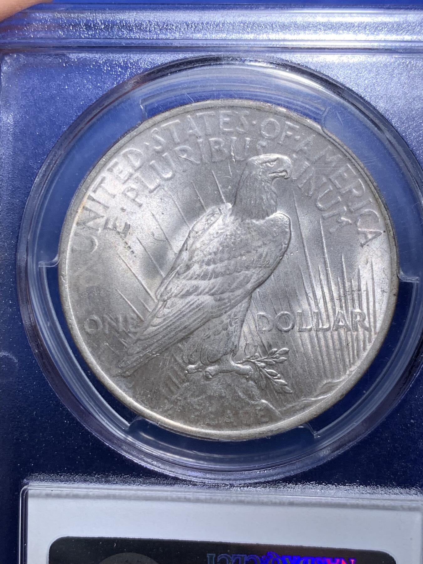 《竞宝斋》第295场- 周日，周一  2场连拍 （全场包邮） PCGS MS64 美国1923年和平银元 原汁原味淡彩老包浆，包浆醇厚润泽又犀利，币面清爽干净又漂亮，盒子背面支撑小磕