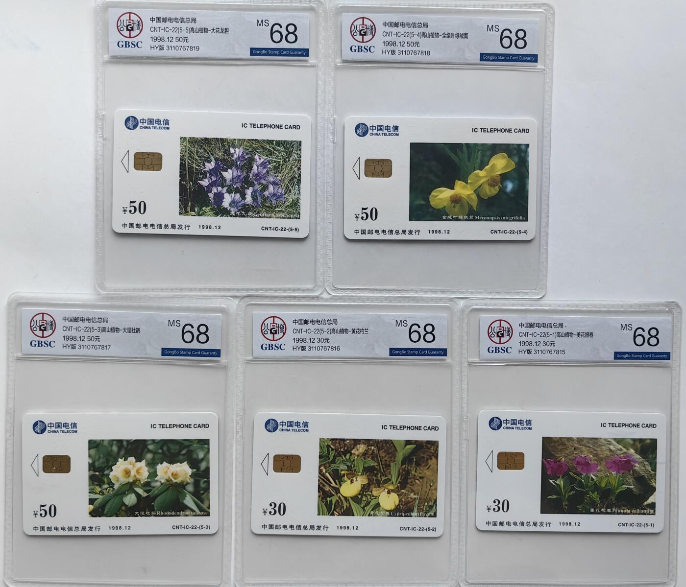 【乐玩集藏】第36期电话IC卡HY专场（8月9日21点结拍） IC-22高山植物 HY版公博68分