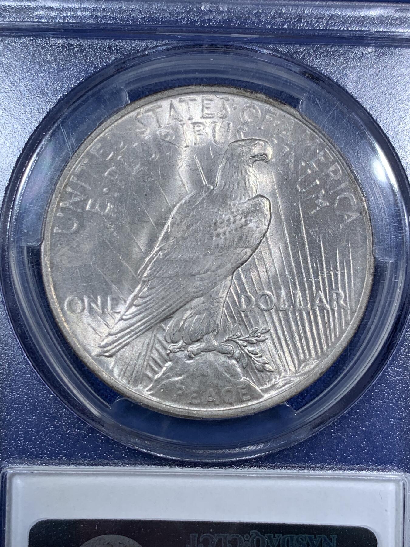 《竞宝斋》第295场- 周日，周一  2场连拍 （全场包邮） PCGS MS64 美国1923年和平银元 原汁原味淡彩老包浆，包浆醇厚润泽又犀利，币面清爽干净又漂亮，盒子背面支撑小磕