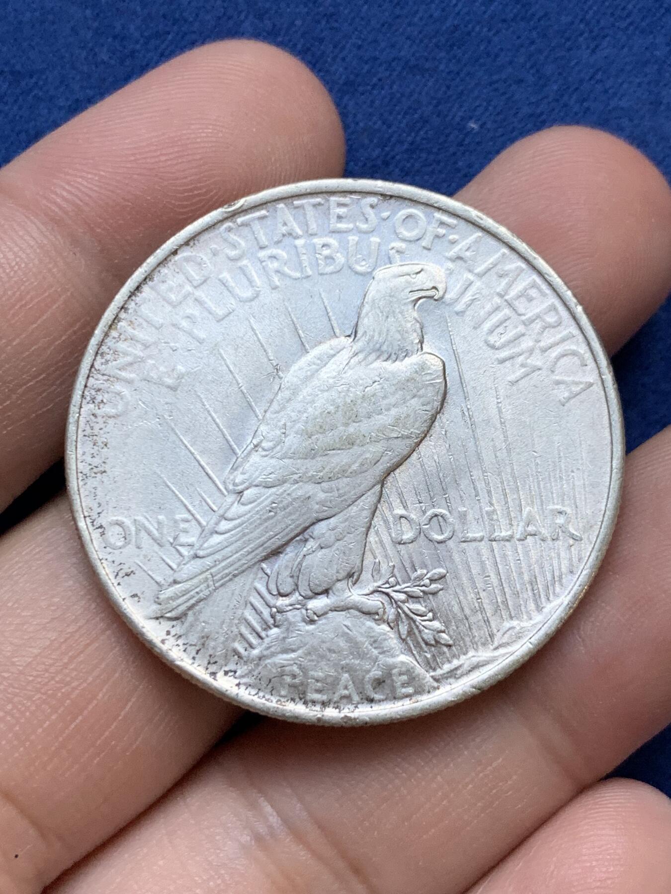 《竞宝斋》第295场- 周日，周一  2场连拍 （全场包邮） 美国1923年1元和平鸽银币 好品