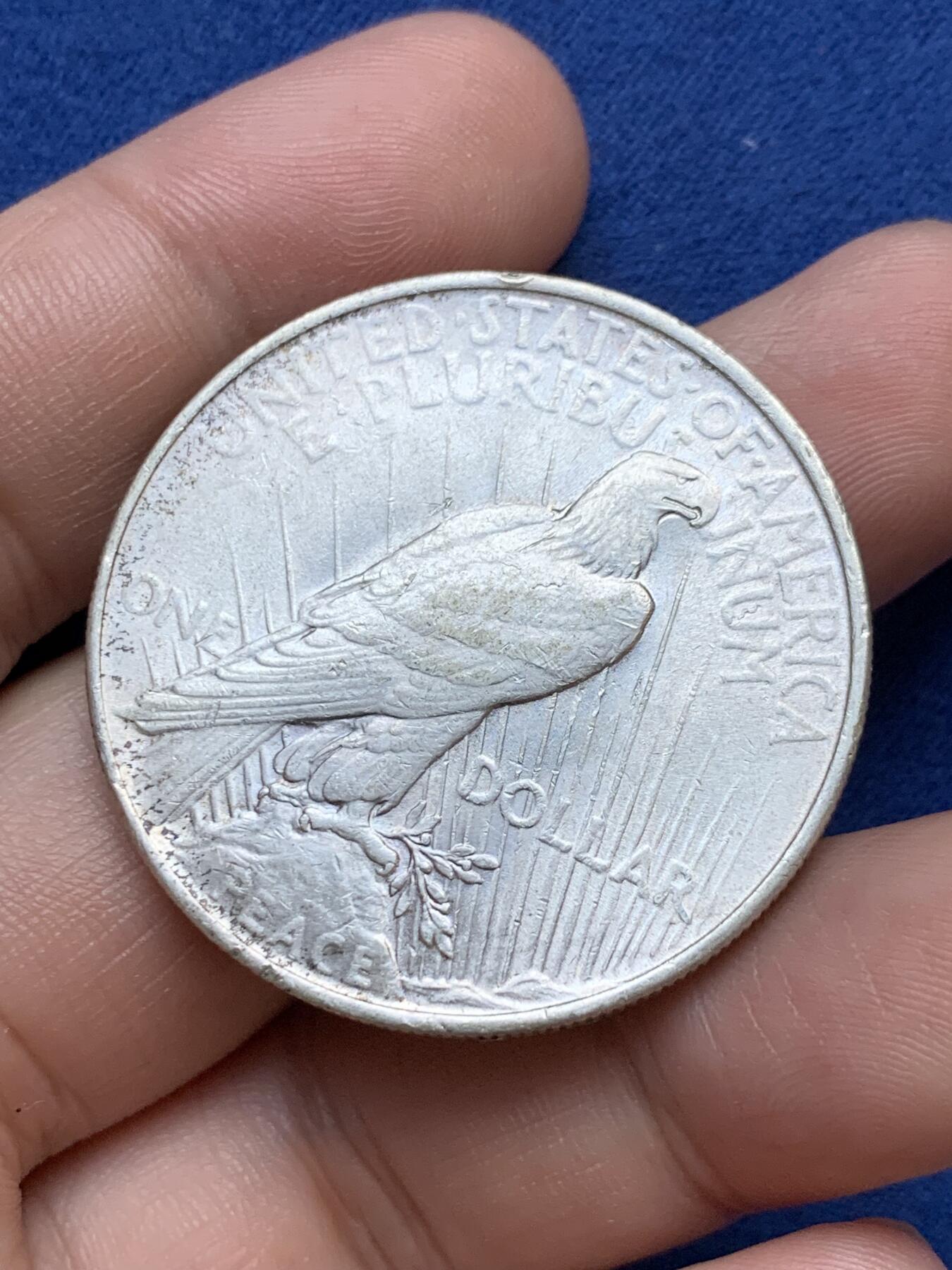 《竞宝斋》第295场- 周日，周一  2场连拍 （全场包邮） 美国1923年1元和平鸽银币 好品