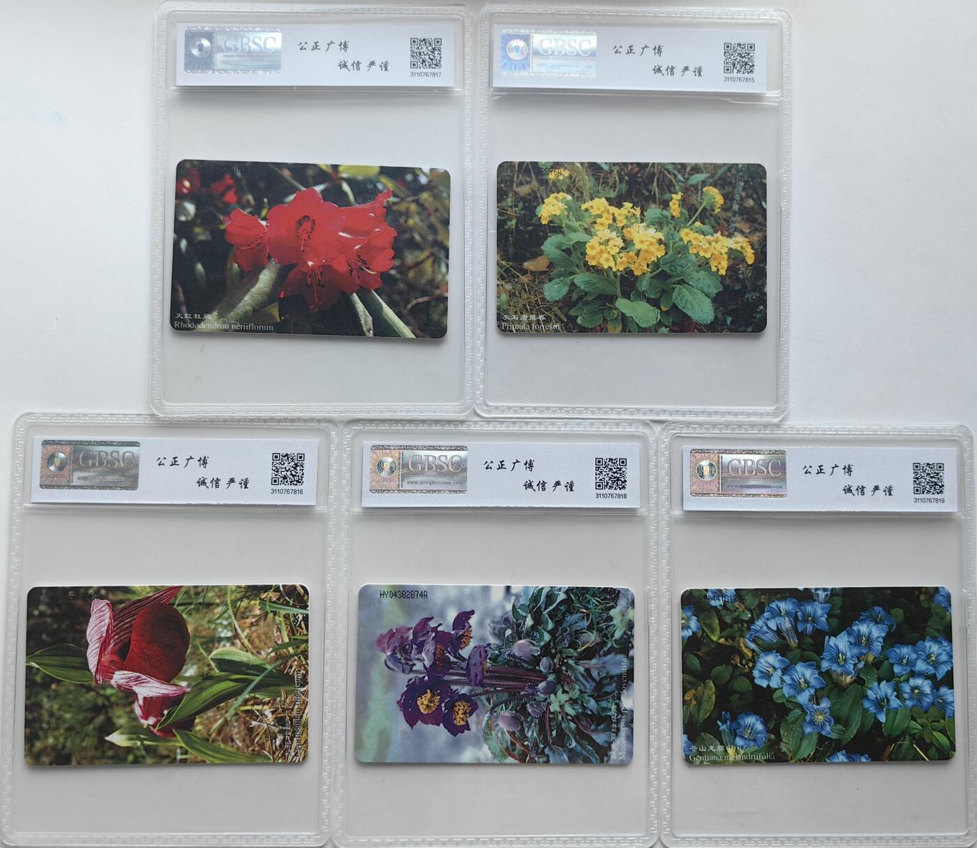 【乐玩集藏】第36期电话IC卡HY专场（8月9日21点结拍） IC-22高山植物 HY版公博68分