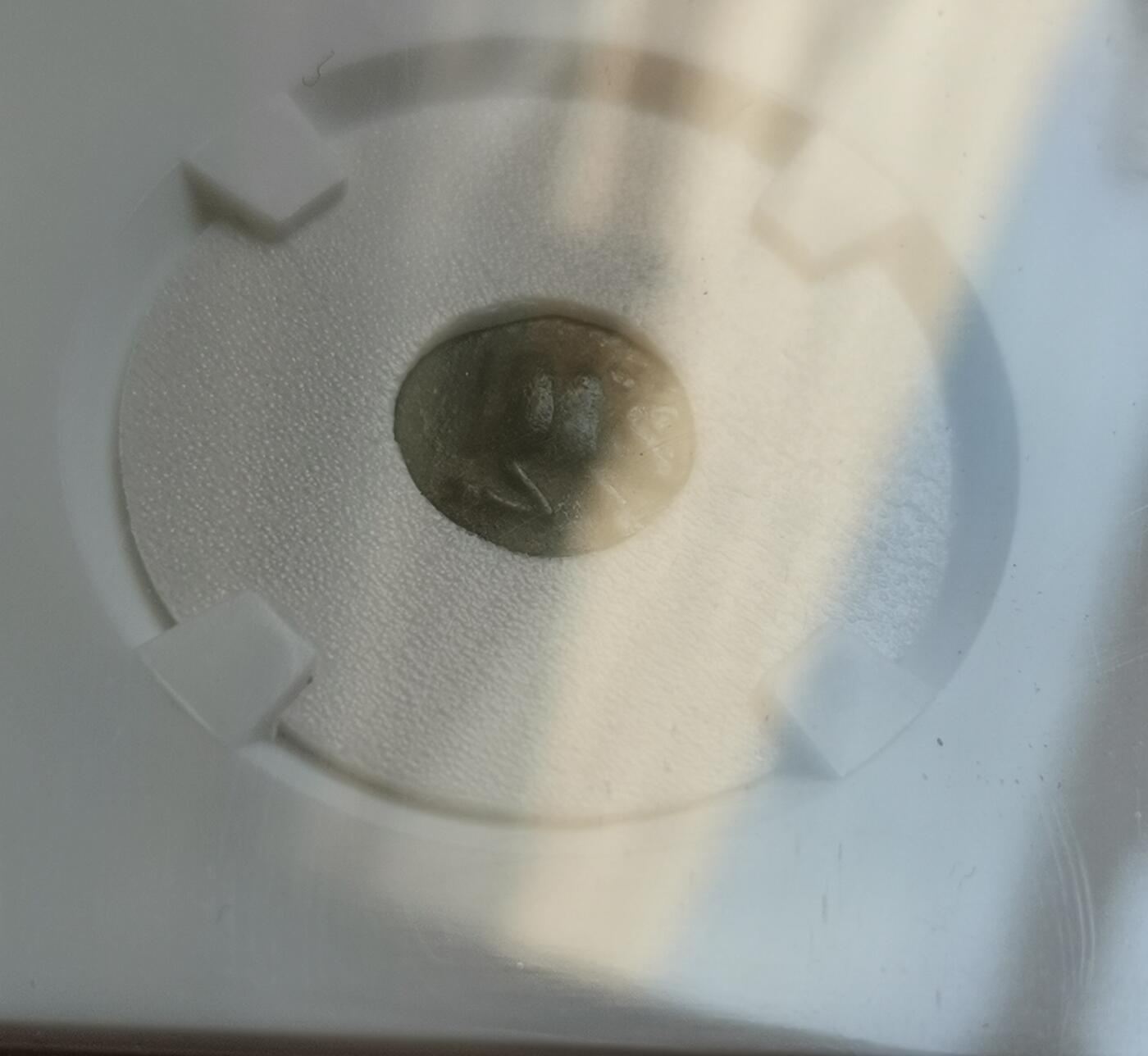 瓶子🏺第153期拍卖会  古希腊卡里亚地区考乌诸斯城铜币 公元前350-前300年