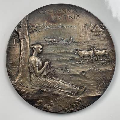 掌中浮雕-藏着的欧洲第015场 - 法国1896年鲁昂殖民地博览会纪念章，大师roty作品，铜镀银版本，直径68mm。环五彩包浆，背面左上底板有一道浅划纹。