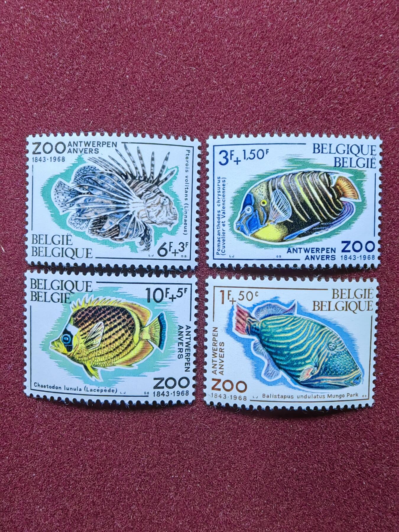 联合阁邮币社™ ——“国外邮票专场” 比利时1968年 海洋生物（全新）