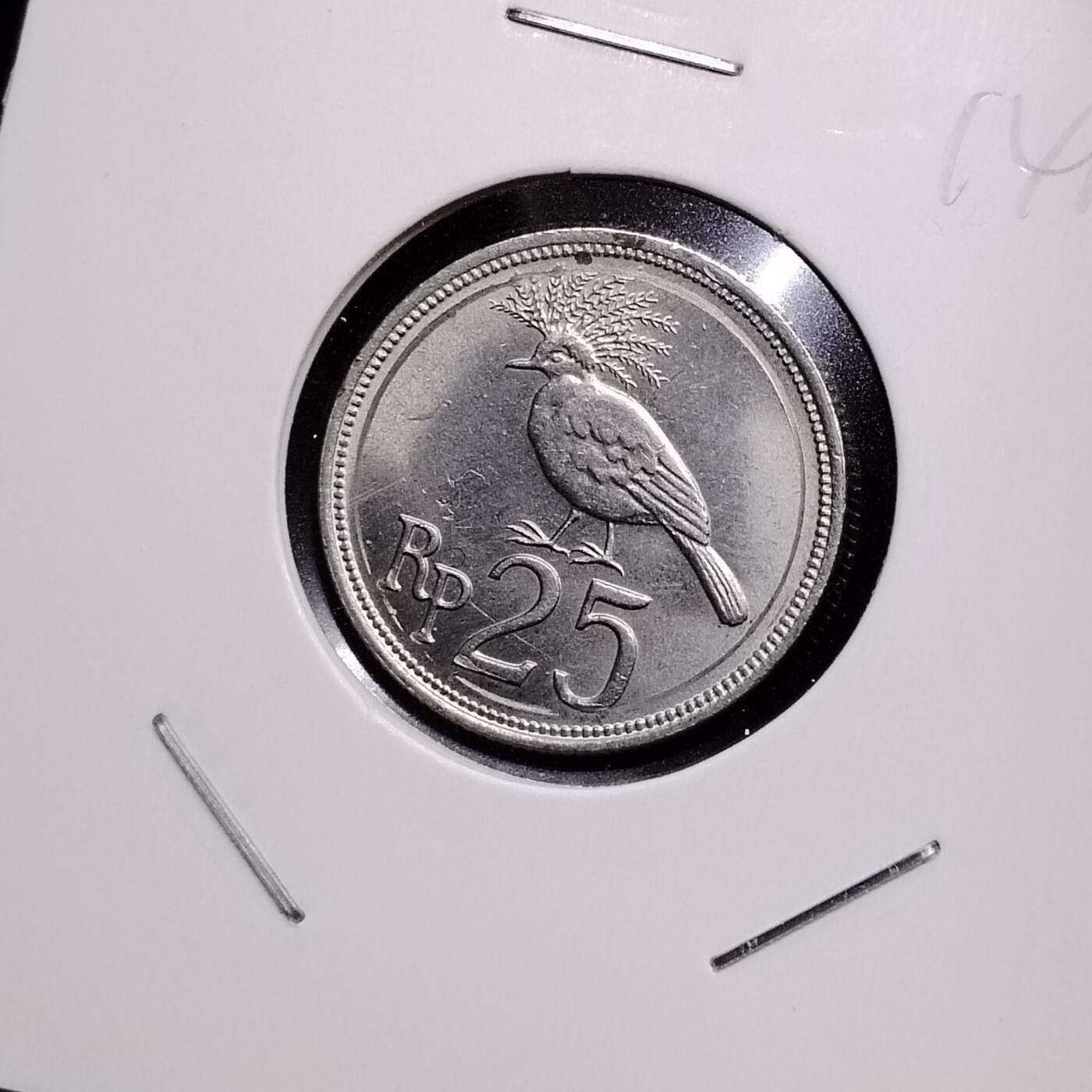 807 印度尼西亚硬币