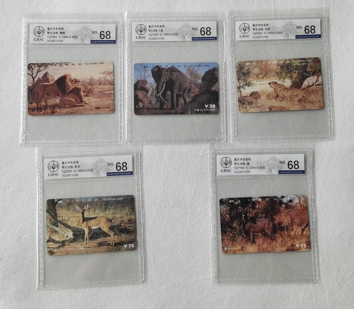 【琪哥网】美评/国评综合场(十） 【公博68】重庆野生动物连号