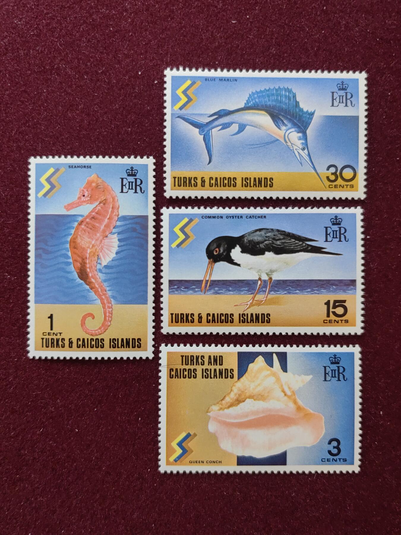 联合阁邮币社™ ——“国外邮票专场” 特克斯和凯科斯群岛 海洋生物（全新）