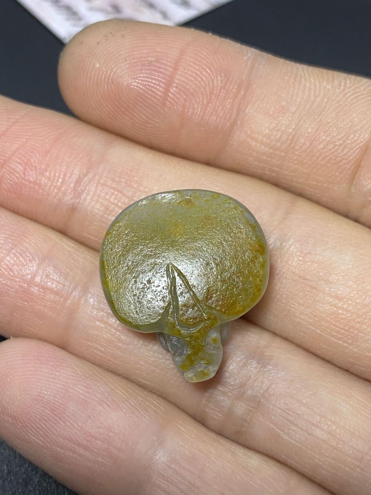 和田玉青花籽料龙龟