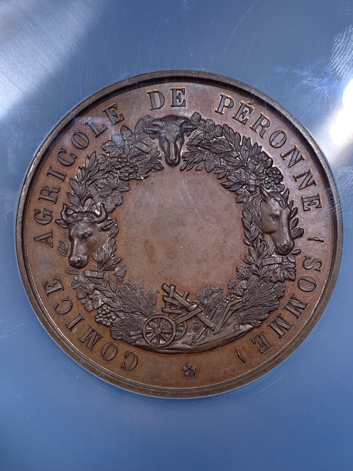 《竞宝斋》第296场- 周日，周一  2场连拍 （全场包邮） NGC MS64BN  法国Loire卢瓦省葡萄种植大铜章 直径50.5mm 大盒封装