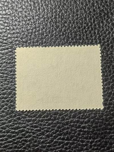 洪涛臻品批发群 精选邮票限时拍卖第1119期  【【稀缺原版票】】纪13西藏  《《原版》》   筋票4-3新 几乎全品一枚《左边一齿微弱，别无瑕疵》早期稀缺的不可再生资源，稀缺货，喜欢不要错过。