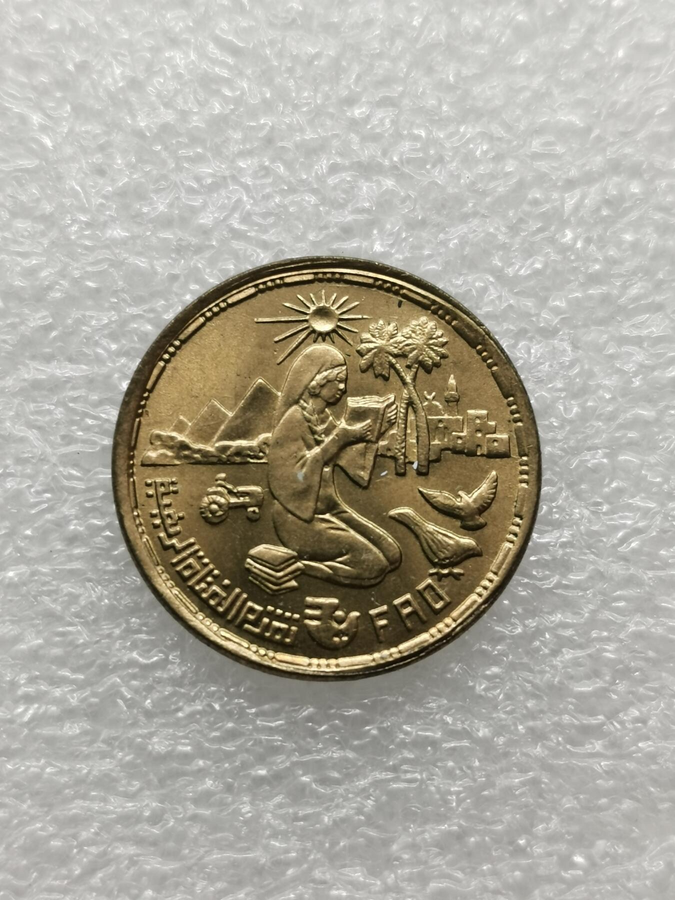 四叶草钱币 第3场 散币 小银币 埃及1980年FAO10米利姆铜币