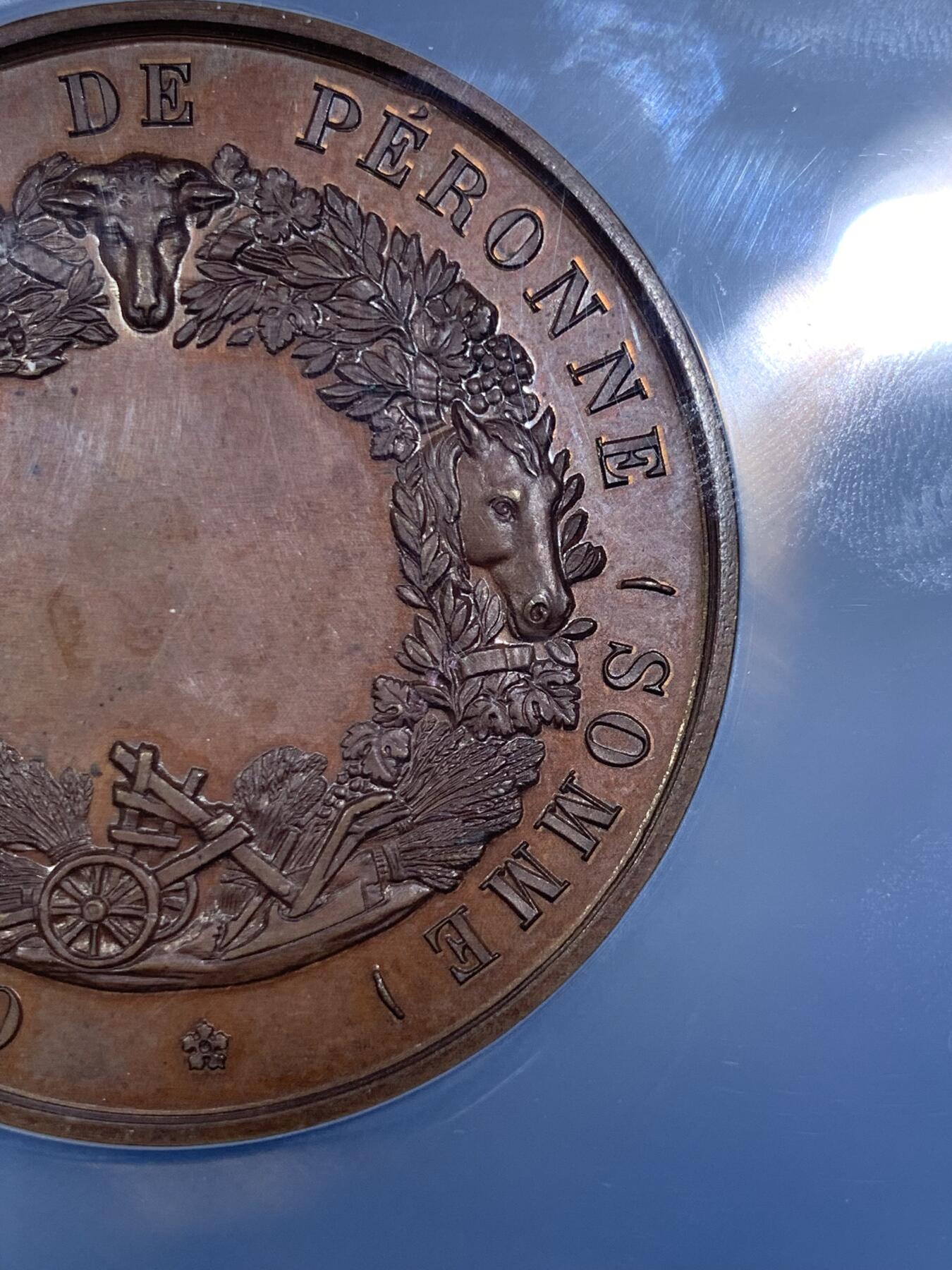 《竞宝斋》第296场- 周日，周一  2场连拍 （全场包邮） NGC MS64BN  法国Loire卢瓦省葡萄种植大铜章 直径50.5mm 大盒封装