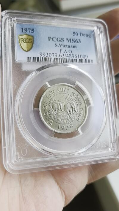 凡希社世界钱币微拍第二百八十期 稀！1975南越FAO插秧50DONG镍币PCGS-MS63，由于南越政府的迅速崩溃，这批订单没有运送至越南本土，后来全部作为金属废料处理，存世量极稀少，FAO系列的皇冠明珠，当代越南的难点，同时也是越战这一影响深远的历史事件的实物见证，高阶藏家汲汲以求的品种，一枚P65曾在2021年拍出10800美元。