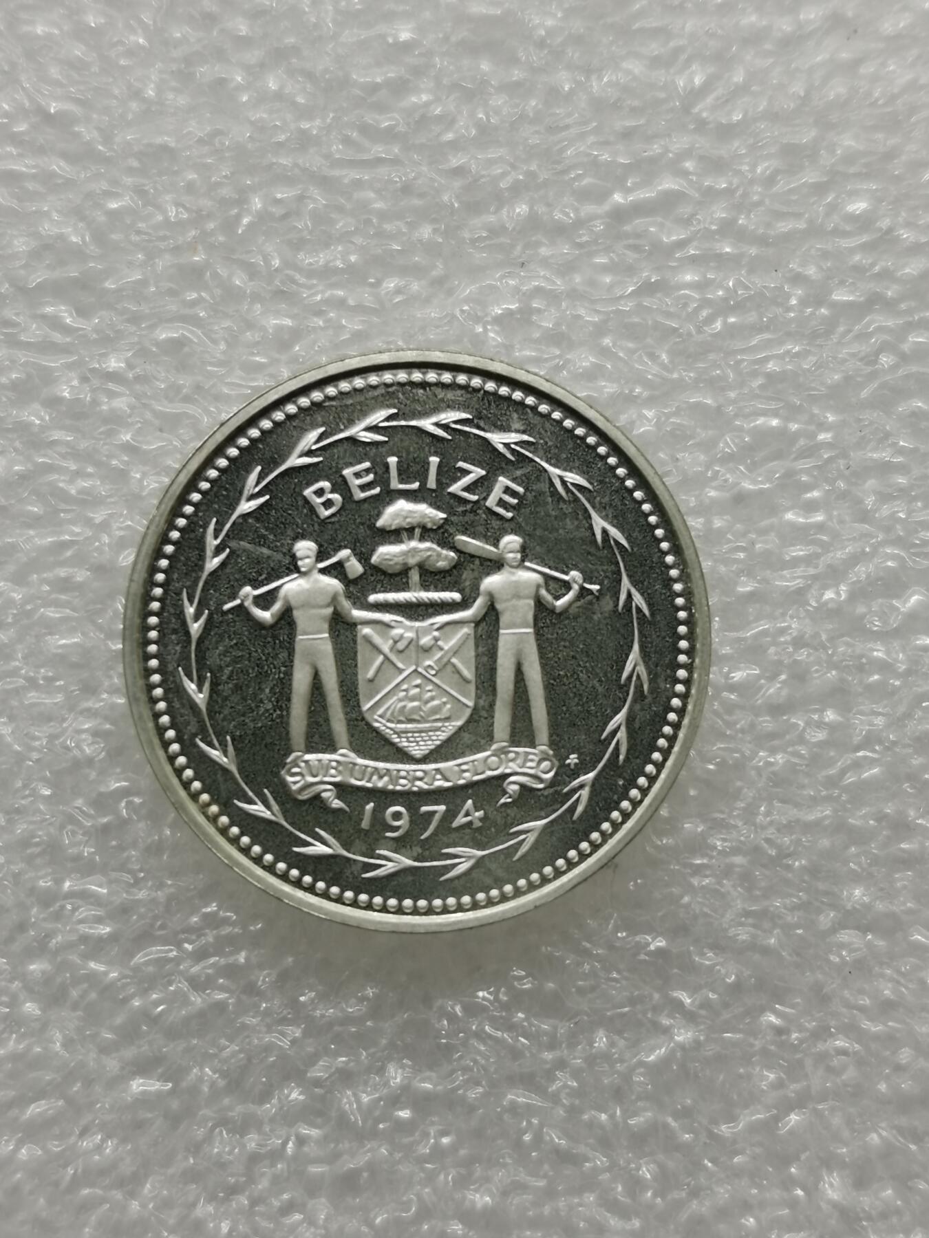 四叶草钱币 第3场 散币 小银币 伯利兹1974年叉尾翁5分精制银币