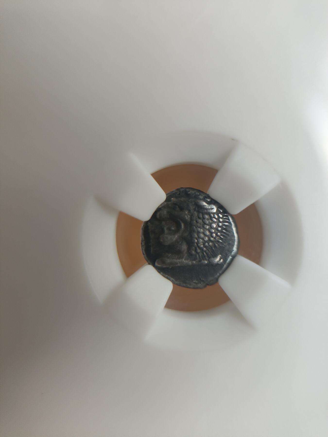 古希腊银币咆哮狮