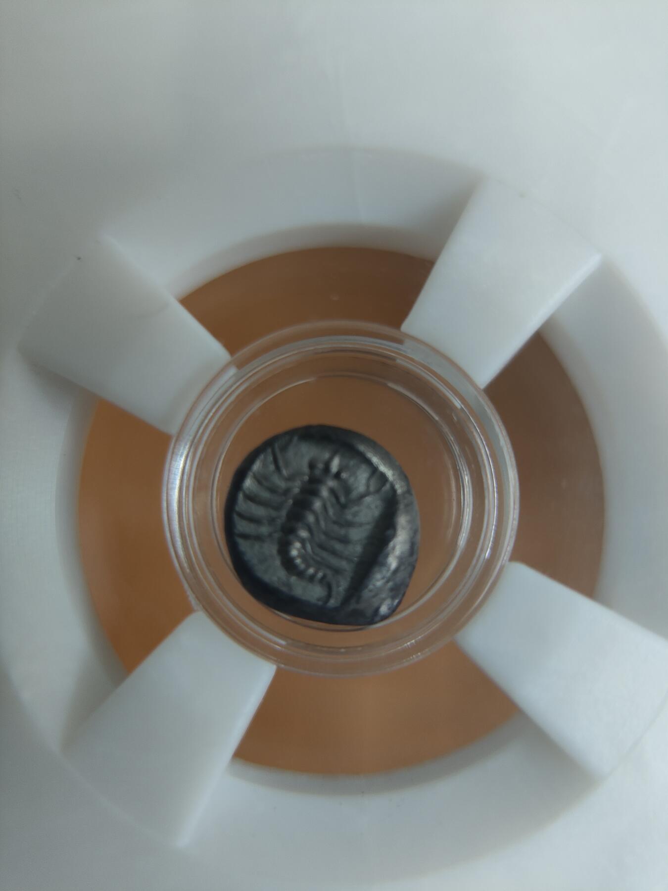 古希腊银币蝎子与狮子