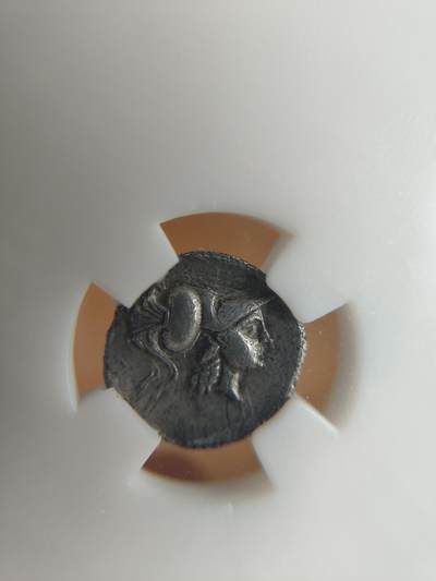 古希腊银币雅典娜与狮子 古希腊银币雅典娜与狮子