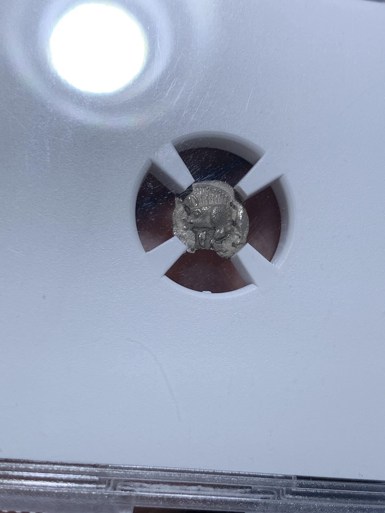 《竞宝斋》第297场- 周日，周一  2场连拍 （全场包邮） TQG评级 XF 5/5 3/5 打制满分 公元前450年-前400年 古希腊密西亚地区柯孜克斯城邦 狮子与野猪银币 小巧精致