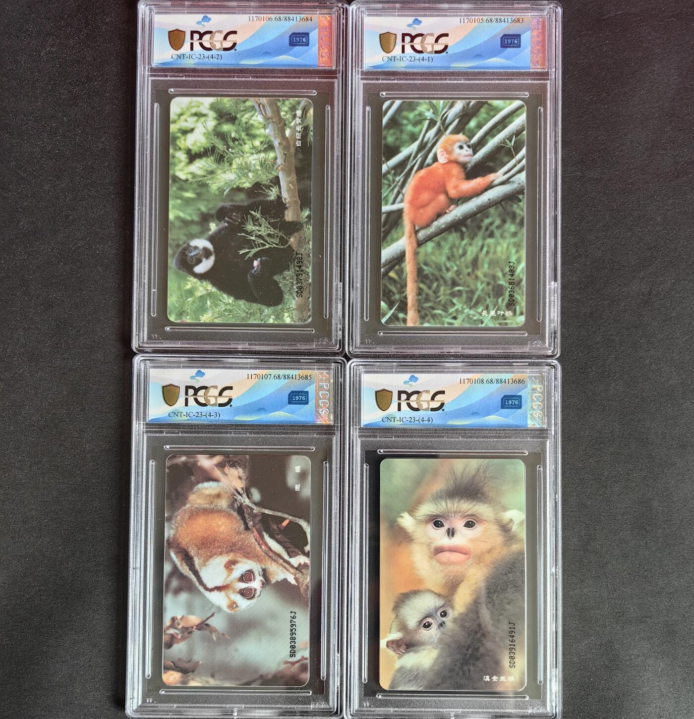 【乐玩集藏】第38期电话卡高分精品专场（8月16日21点结拍） IC-23珍惜动物 SD版PCGS68 好品不多