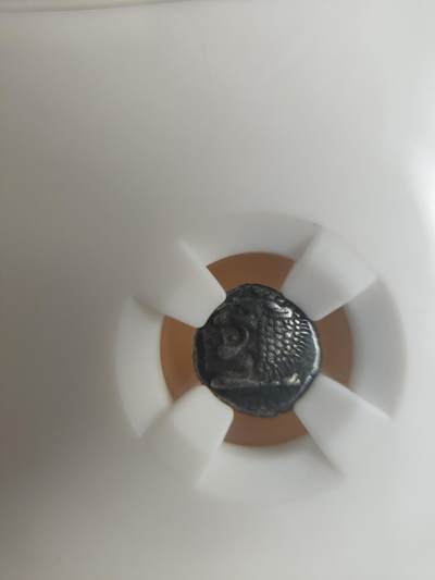 古希腊银币咆哮狮 - 古希腊银币咆哮狮
