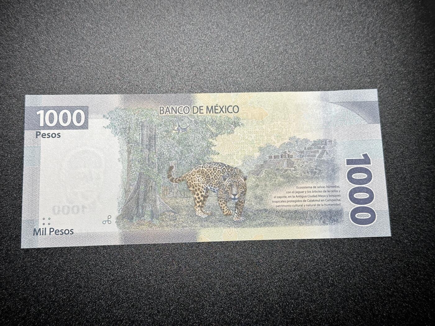 《外钞收藏家》第四百零二期 2019年墨西哥1000比索 全新UNC 首发AA冠