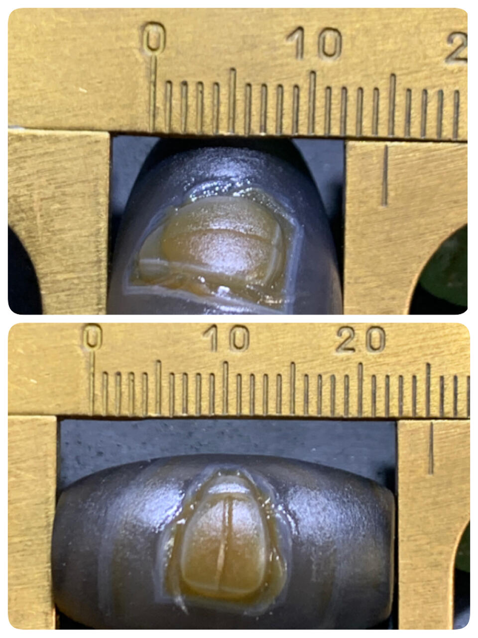 精美亚光高玉化巴西玛瑙手工俏色巧雕甲壳虫直桶，桶珠一个