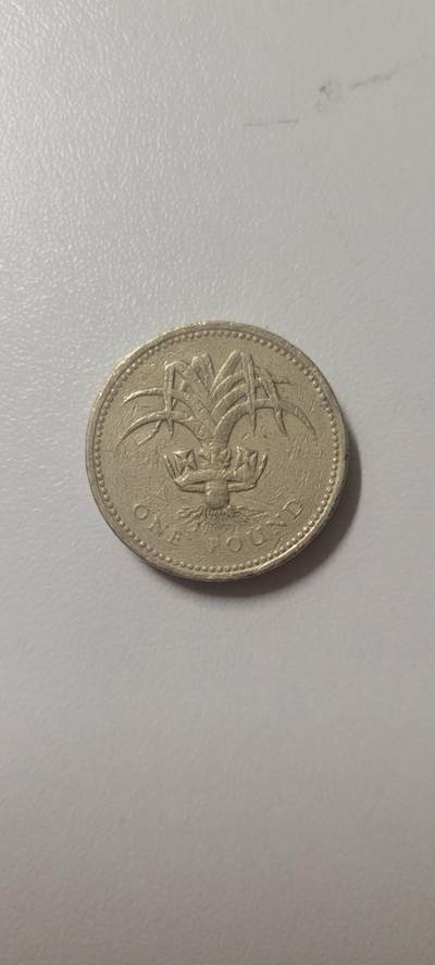 2024第十四期 英国1镑  威尔士韭葱 