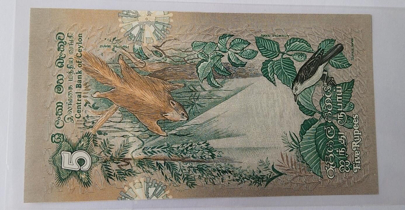 天和轩精品钱币第42场 全新UNC 斯里兰卡5纸币