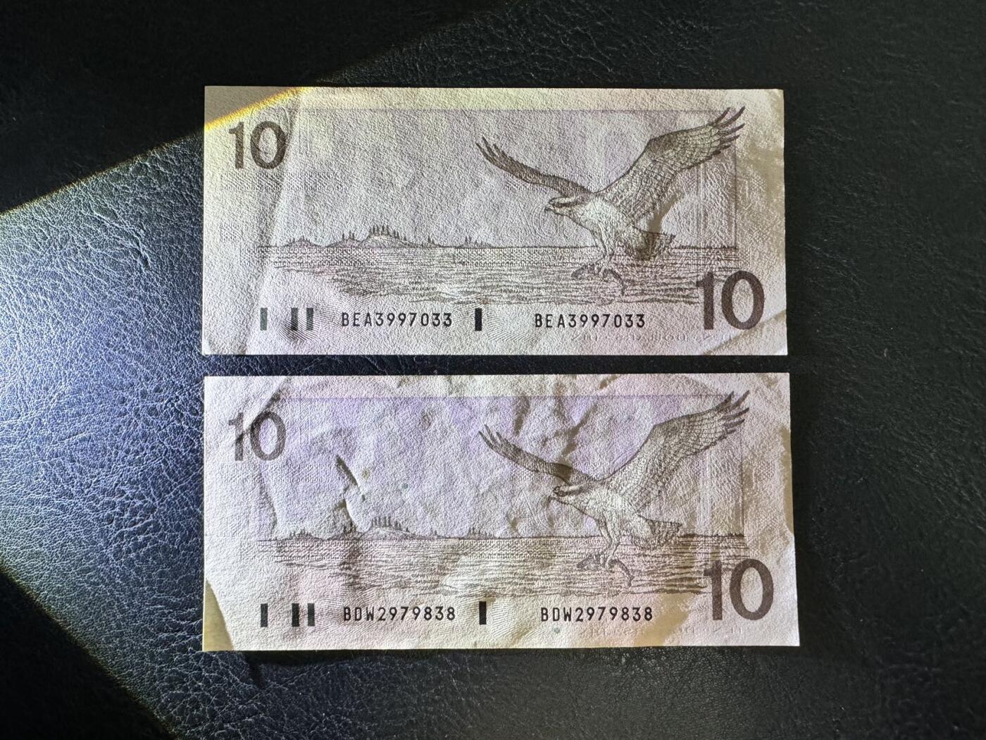 收藏联盟Quantum Auction 第369期拍卖  加拿大1986年5元和1989年10元 品相分别为UNC-和AU+